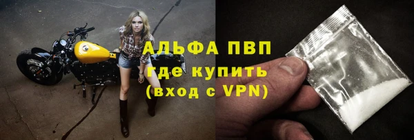 стафф Богданович