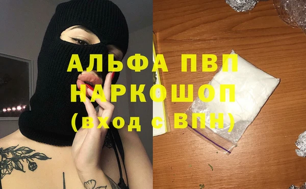 стафф Богданович