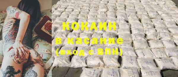 стафф Богданович