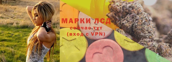 стафф Богданович