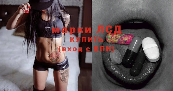 стафф Богданович