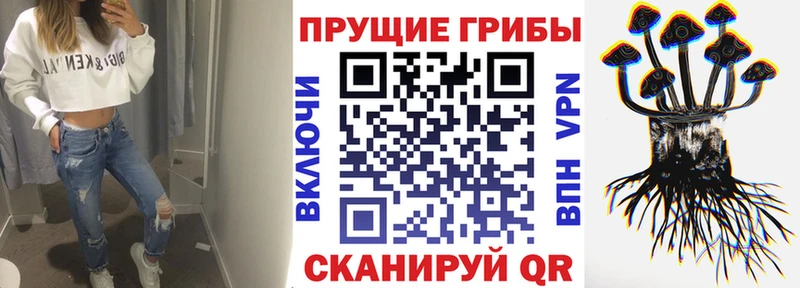 Псилоцибиновые грибы Psilocybe  гидра вход  Бугуруслан 